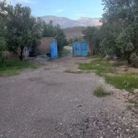 اجاره سوله وحیاط|اجارهٔ دفتر صنعتی، کشاورزی، تجاری|لوشان, |دیوار