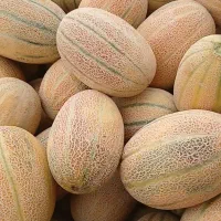 هنداونه|خوردنی و آشامیدنی|سارال, |دیوار
