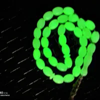 تسبیح سنگی قدیمی جاذب نور|کلکسیون اشیاء عتیقه|تبریز, |دیوار