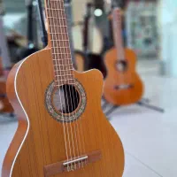 گیتار پارسی در همه مدل|گیتار، بیس، امپلیفایر|مشهد, الهیه|دیوار