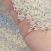 برنج طارم سالم درجه یک