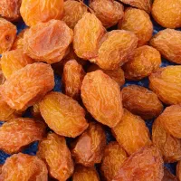 آلو بخارا آفتابی محلی|خوردنی و آشامیدنی|شیراز, شاهچراغ|دیوار