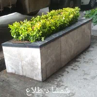 خدمات.باغبانی باتخفیف ویژه درخدمت مشتری|خدمات باغبانی و درختکاری|تهران, سهروردی|دیوار