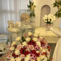 اجرای خدمات صفر تا صد نامزدی