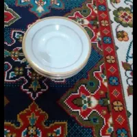 لوازم اشپزخونه خونه|ظروف نگهدارنده، پلاستیکی، یک‌بارمصرف|بروجرد, |دیوار