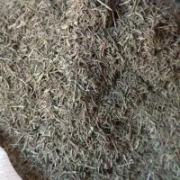 فروش حدود۷۰۰کیلو اویشن کوهی بصورت عمده