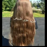 صادرکننده موی خام و رنگی به بالاترین قیمت