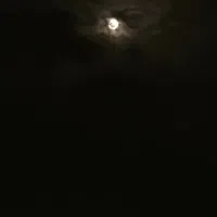 تعلیم رانندگی
