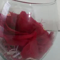 مقداری طلا پیدا شده