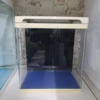 اکواریوم|ماهی|مشهد, نیروی هوایی|دیوار