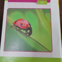 کتاب دهم رشته تجربی|کتاب و مجله آموزشی|برخوار, |دیوار