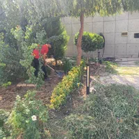 خدمات باغبانی و سم پاشی