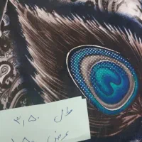 پارچه چادری|لباس|ابهر, |دیوار