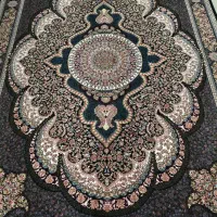 تعدادی فرش|فرش|قم, شاه سید علی|دیوار