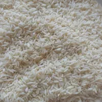 برنج علی کاظمی۹۰۰ کیلو