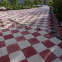 بنای نماکاروموزاییک کارم|خدمات پیشه و مهارت|ایرانشهر, |دیوار