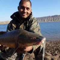 چوب ماهیگیری شیمانو اصلی موتور فلزی۷۰۰۰|ماهیگیری|مشهد, شهرک رازی (شهرک غرب)|دیوار