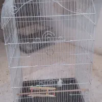 قفس بزرگ پرنده