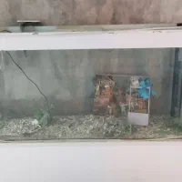 فروش اکواریوم