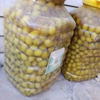 ۲۵۰کیلو زیتون شمال بفروش میرسد