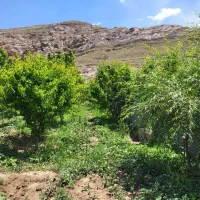فروش باغ حاشیه اصلی اخلمد