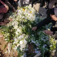 قاری. مداحی. مداح