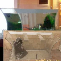 آکواریوم طرح مقعر زیبا + وسایل|ماهی|مشهد, کوثر|دیوار