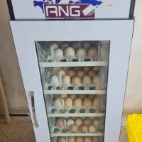 دستگاه جوجه کشی ۲۱۰ تایی سینا