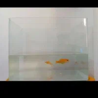 اکواریوم نو. میز آهنی اگواریوم نو