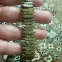 تسبیح دانه خرما۶۰تایی