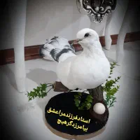 مجسمه|مجسمه، تندیس، ماکت|تهران, نازی‌آباد|دیوار