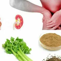 آموزش صفرتاصد طب سنتی