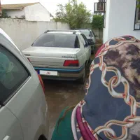 اجاره405دوگانه کارخانه کولرروشن