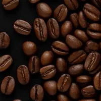 فروش دانه قهوه