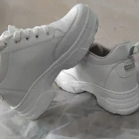 دوجفت کتونی نو