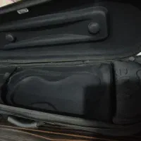 هاردکیس ویالن