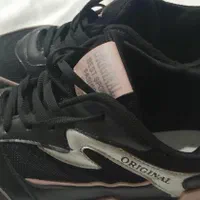 کفش|کیف، کفش، کمربند|جهرم, |دیوار