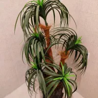 درختچه دکوری|گل مصنوعی|گرگان, |دیوار