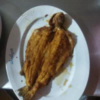 کار در رستوران (ظرفشور)