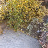 عظیمیه ویلایی ۱۳۰ متری ۳ خواب  بازسازی شده|اجارهٔ آپارتمان|کرج, عظیمیه|دیوار