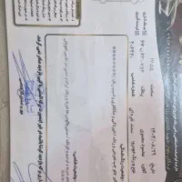 فروش سمند سفارشی مدل ۸۶|خودرو سواری و وانت|لردگان, |دیوار