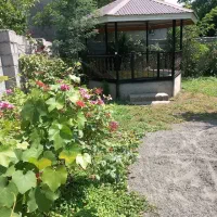 ویلا دوبلکس با تمام امکانات رفاهی|اجارهٔ کوتاه‌مدت ویلا و باغ|ماسال, |دیوار