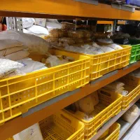 استخدام نیروی خانوم جهت بسته بندی