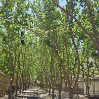 باغچه و تفریحگاه و اقامتگاه گردشگری