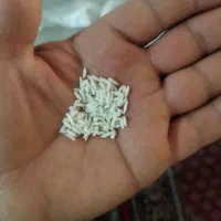 برنج‌محلی‌دورود