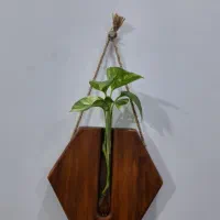 ۲ عدد گلدان دیواری طرح چوب