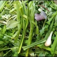 پذیرش‌‌پاک‌کردن‌و‌خرد‌کردن‌‌انواع‌سبزیجات‌‌و...
