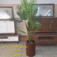 درختچه مصنوعی خارجی|گل مصنوعی|کرج, بنیاد|دیوار