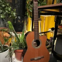 گیتار کورت cort ac250 cf nat