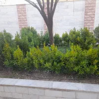 هرسکاری گلکاری وباغبانی